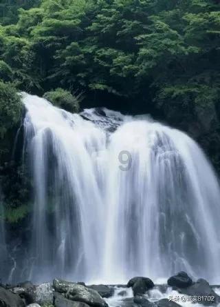 人类是否也会有再生能力？